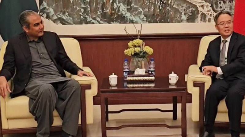 چینی شہریوں اور منصوبوں کی سکیورٹی اولین ترجیح ہے:محسن نقوی