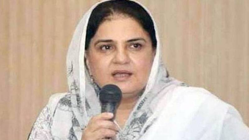 بینظیر انکم سپورٹ پروگرام دنیا بھر کے ممالک کے لیے رول ماڈل بن گیا، سینیٹر روبینہ خالد کا دعویٰ