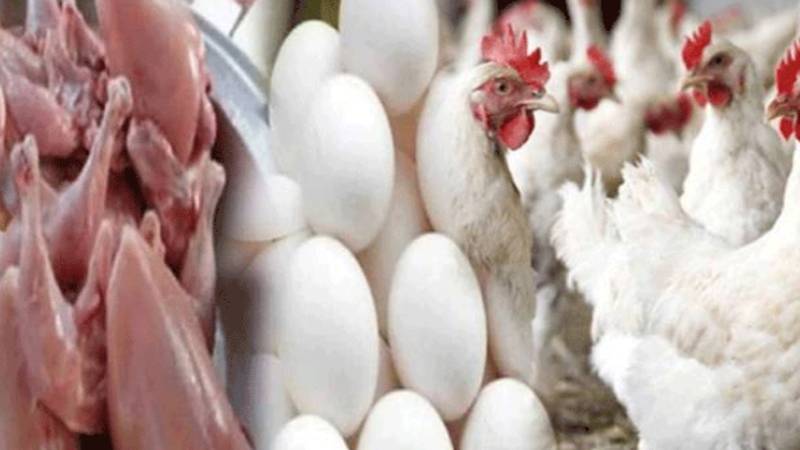 لاہور میں برائلر مرغی کے گوشت کی قیمتوں میں کمی، انڈوں کی قیمتوں میں اضافہ