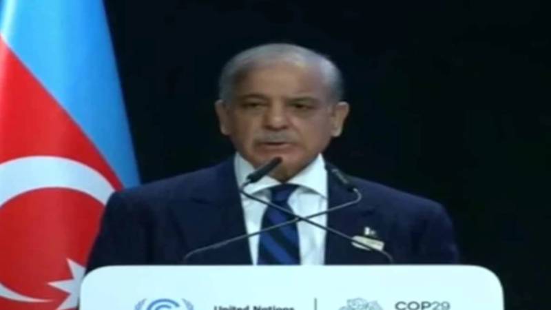 موسمیاتی تبدیلی سے پاکستان کو 2022 میں 30 ارب ڈالر سے زائد کا نقصان ہوا، وزیراعظم