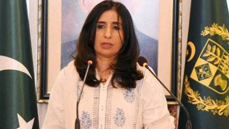 وزیر دفاع خواجہ آصف کےساتھ بیرون ملک بدتمیزی کی مذمت کرتے ہیں،دفترخارجہ 