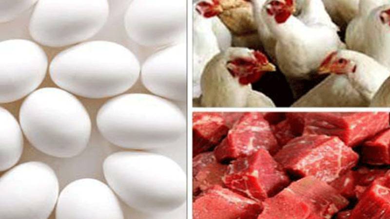 مرغی اور انڈوں کی قیمتوں میں اتار چڑھاؤ
