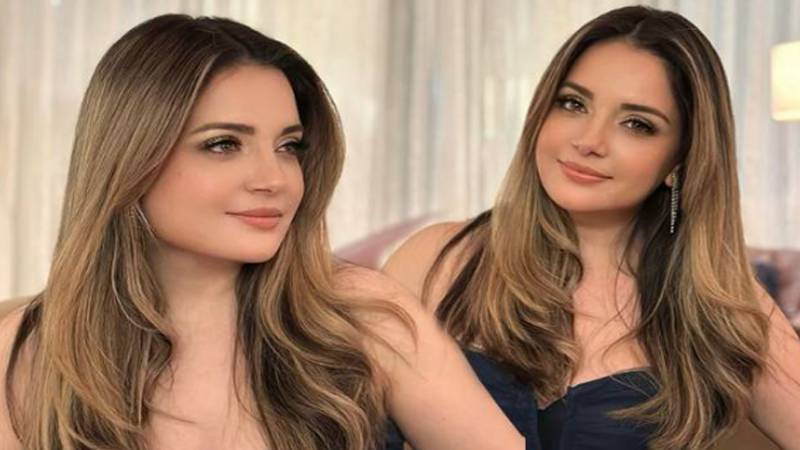 سوشل میڈیا پر تصاویر پر تنقید کا سامنا:ارمینہ خان
