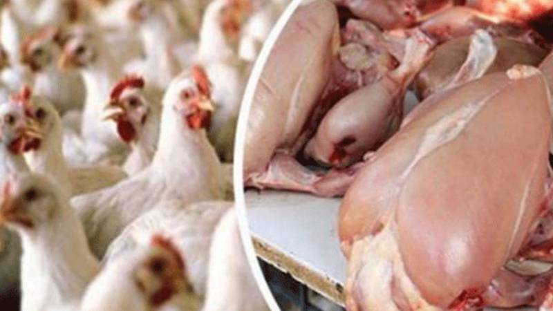 برائلر مرغی کے گوشت کی قیمت میں 12 روپے کمی، انڈوں کی قیمت برقرار