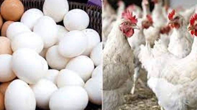 مرغی کا گوشت 15 روپے مہنگا، انڈے 346 روپے درجن تک پہنچ گئے