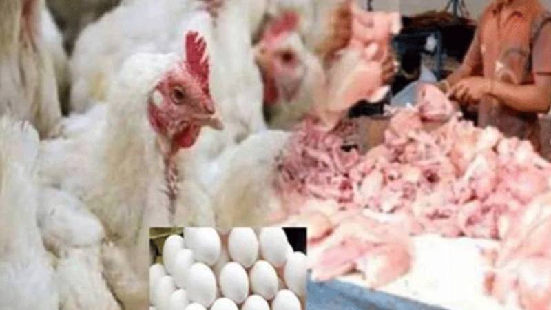 لاہور میں برائلر مرغی کے گوشت کی قیمت میں مزید کمی، انڈوں کی قیمت میں اضافہ