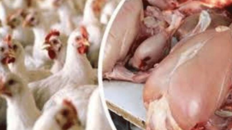 لاہور میں برائلر مرغی کے گوشت کی قیمت میں مزید کمی