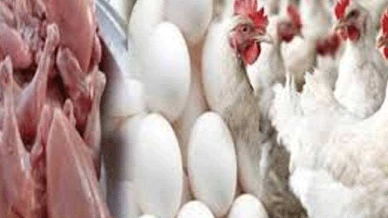 لاہور میں برائلر مرغی کے گوشت کی قیمت میں 8 روپے فی کلو اضافہ