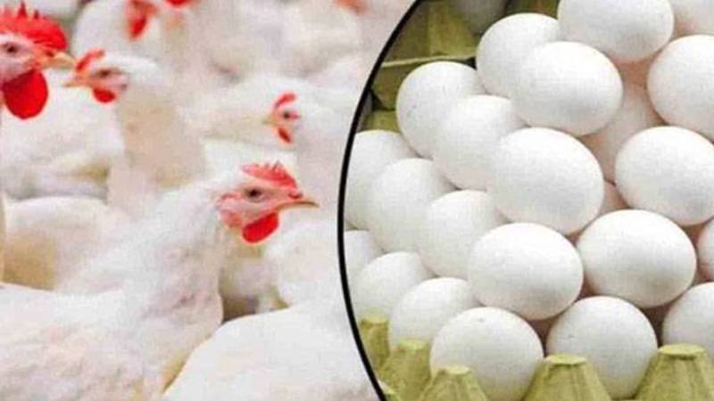 لاہور میں مرغی کے گوشت کی قیمت میں 14 روپے فی کلو کمی، 461 روپے فی کلو ہو گئی