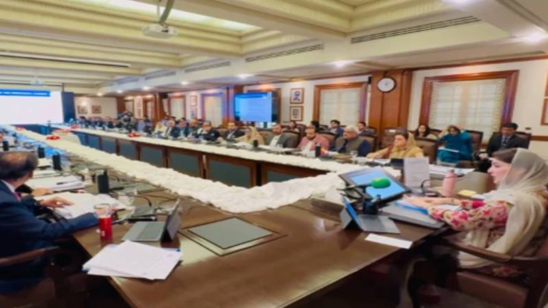 پنجاب: پتنگ بازی کو ناقابل ضمانت جرم قرار دینے کیلئے قوانین میں ترمیم کی منظوری