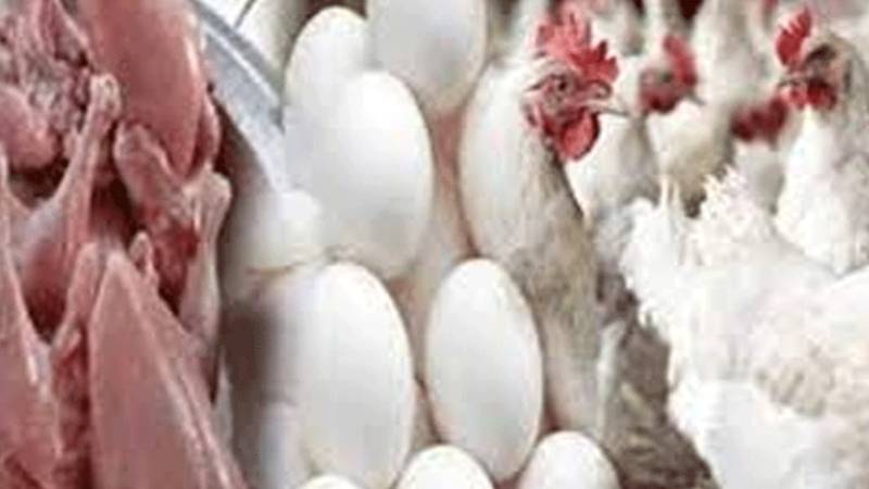 مرغی کا گوشت مزید سستا، قیمت میں 14 روپے فی کلو کمی