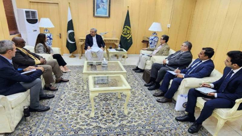 وزیر داخلہ محسن نقوی اور امریکہ کی قائمقام سفیر نیٹلی بیکر کی ملاقات