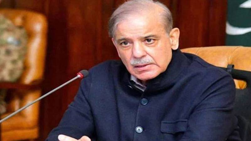 وزیراعظم شہباز شریف کا پہاڑوں کے عالمی دن پر پیغام: نوجوان پہاڑوں کے تحفظ میں کردار ادا کریں