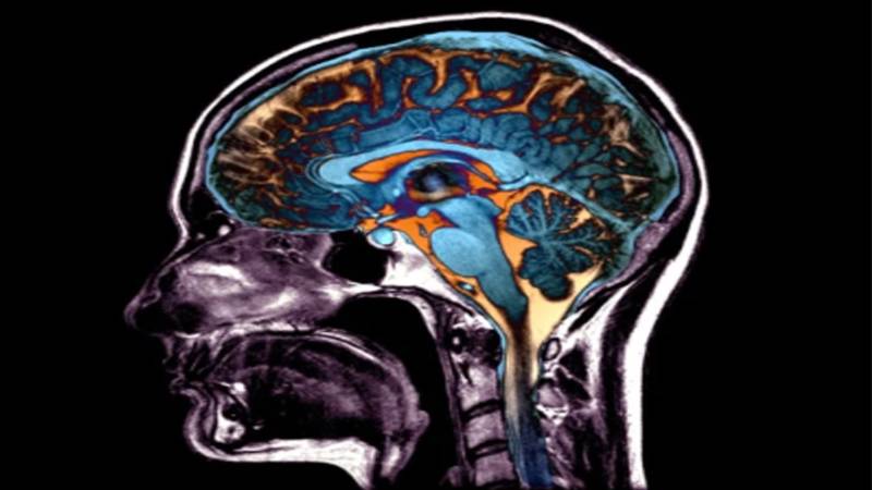 دماغ کس عمر میں ’بوڑھا‘ ہونا شروع ہوتا ہے؟