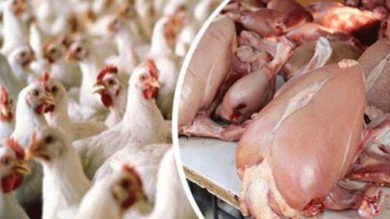 برائلر مرغی کے گوشت کی قیمت میں کمی، انڈوں کی قیمت مستحکم