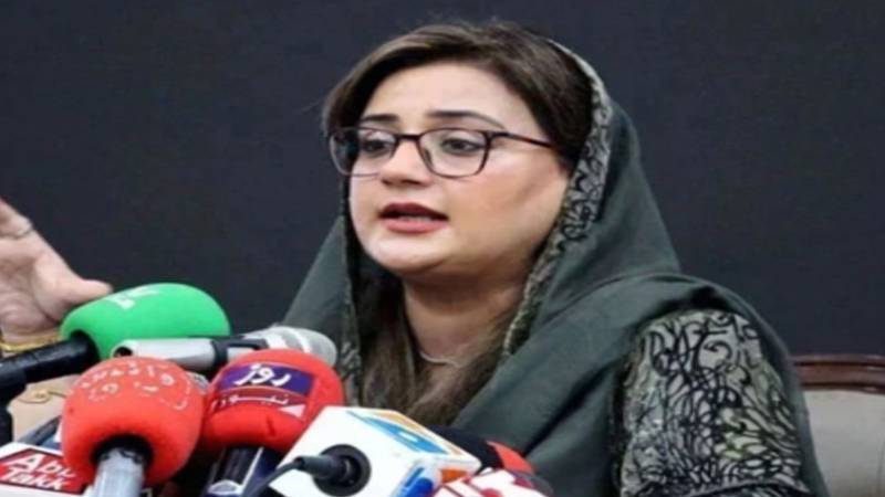  پاکستان میں سرمایہ کاری پر چین کے سیکیورٹی تحفظات:عظمی بخاری
