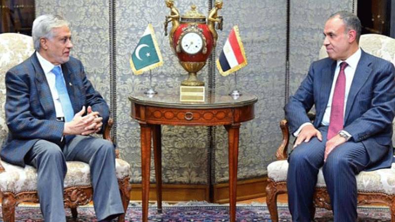 نائب وزیر اعظم و وزیر خارجہ اسحاق ڈار کی قاہرہ میں مصری ہم منصب سے ملاقات، فلسطینی مسئلے پر تبادلہ خیال