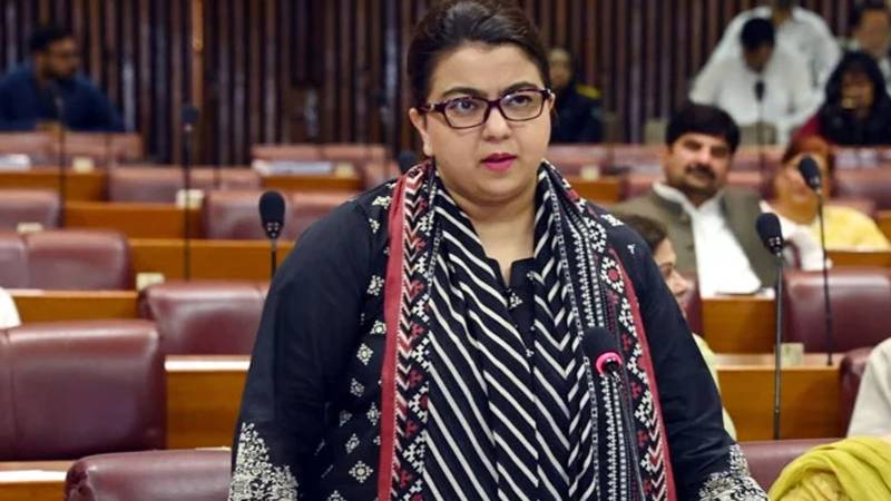 انٹرنیٹ بند کرنے کا کوئی ارادہ نہیں، نہ میرے پاس بٹن ہے: شزا فاطمہ
