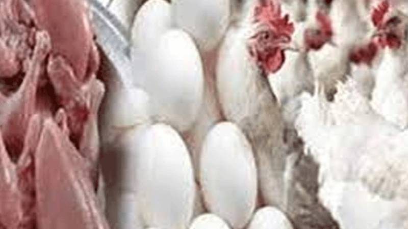 لاہور میں برائلر گوشت کی قیمتوں میں اضافہ