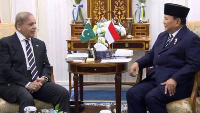 وزیراعظم شہباز شریف کی انڈونیشیا کے صدر سے ملاقات، باہمی تعلقات اور فلسطین پر تبادلہ خیال