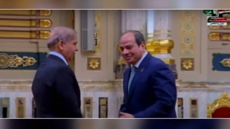 ڈی ایٹ کانفرنس: وزیراعظم شہباز شریف کی مصر آمد، عبدالفتاح السیسی نے استقبال کیا