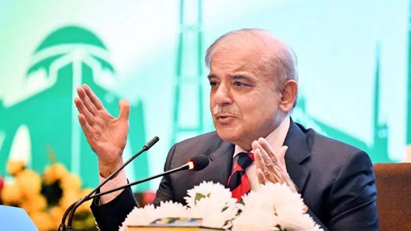 وزیرِ اعظم شہباز شریف کا غزہ میں فوری جنگ بندی پر زور