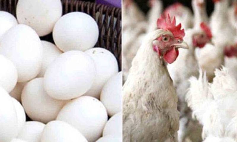 پاکستان میں مرغی کے گوشت اور انڈوں کی قیمتوں میں مزید اضافہ