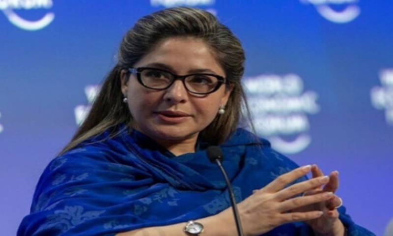 پشاور ہائیکورٹ نے شاندانہ گلزار کی 21 جنوری تک راہداری ضمانت منظور کرلی
