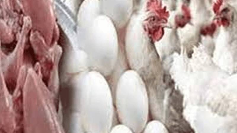 لاہور میں برائلر مرغی اور انڈوں کی قیمتوں میں اضافہ