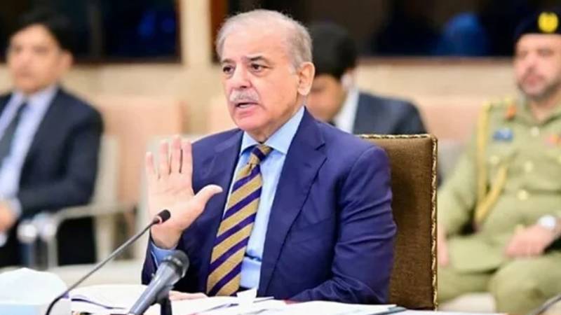 دہشتگردی کے خاتمے تک حکومت کا عزم برقرار رہے گا: وزیرِ اعظم شہباز شریف