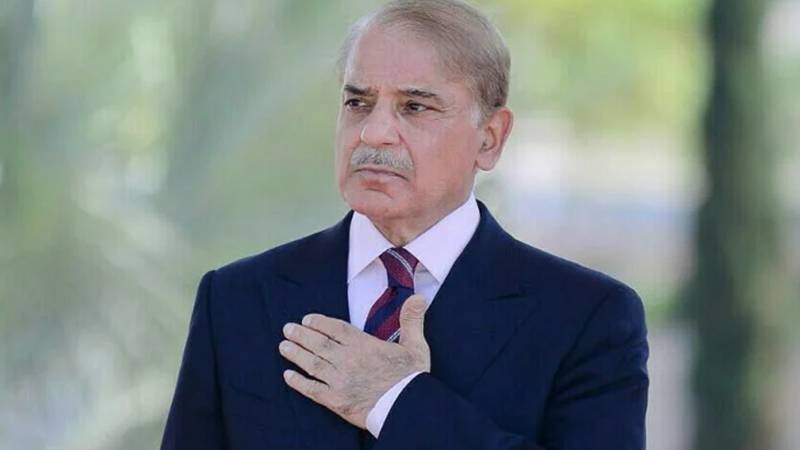 وزیراعظم شہباز شریف کا آذربائیجان کے طیارہ حادثے پر افسوس کا اظہار