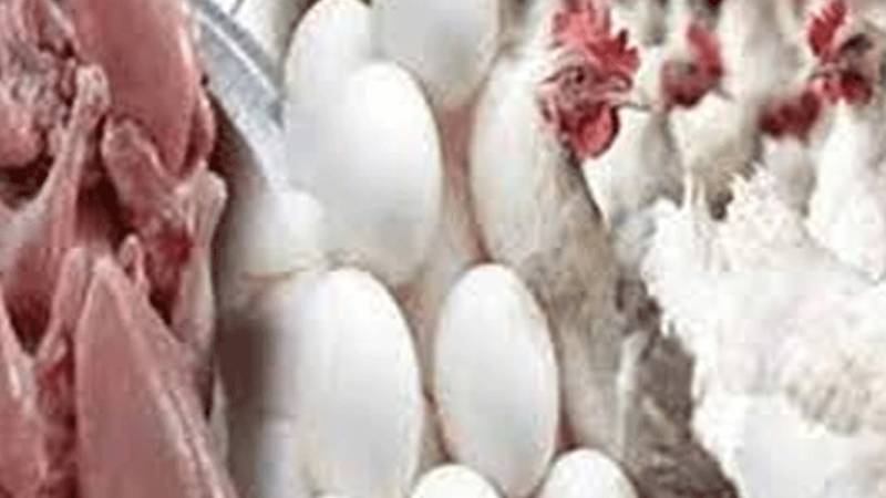 لاہور میں برائلر مرغی کے گوشت اور فارمی انڈوں کی قیمتوں میں اضافہ