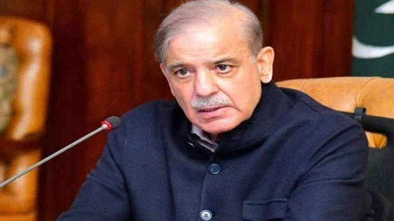 مسلم لیگ ن نے سیاست قربان کرکے معیشت اور ملکی سلامتی کو فوقیت دی