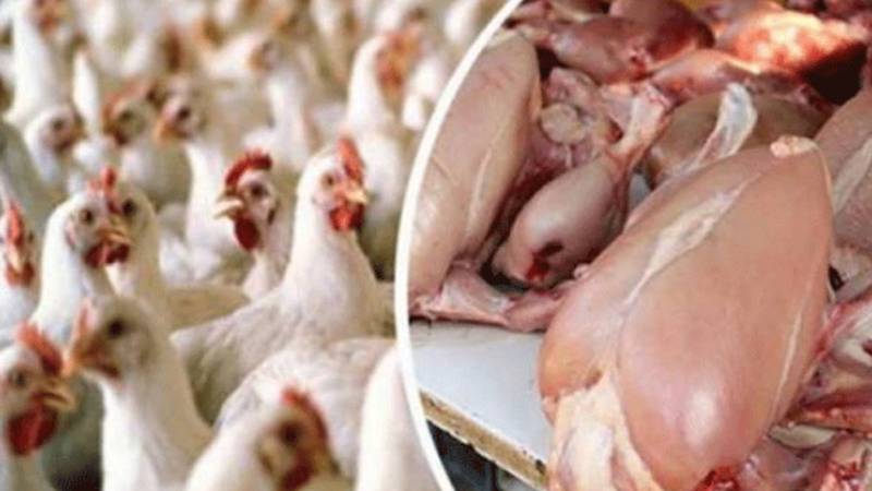 لاہور میں برائلر مرغی کے گوشت کی قیمت میں اضافہ، فی کلو 595 روپے