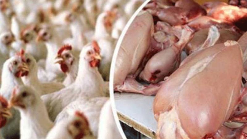 ملک بھر میں مرغی اور انڈوں کی قیمتوں میں بڑا اضافہ