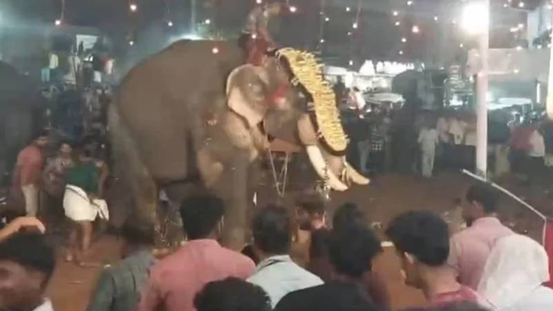میلے میں ہاتھی کے مشتعل ہونے سے 17 افراد زخمی، ایک کی حالت تشویش ناک