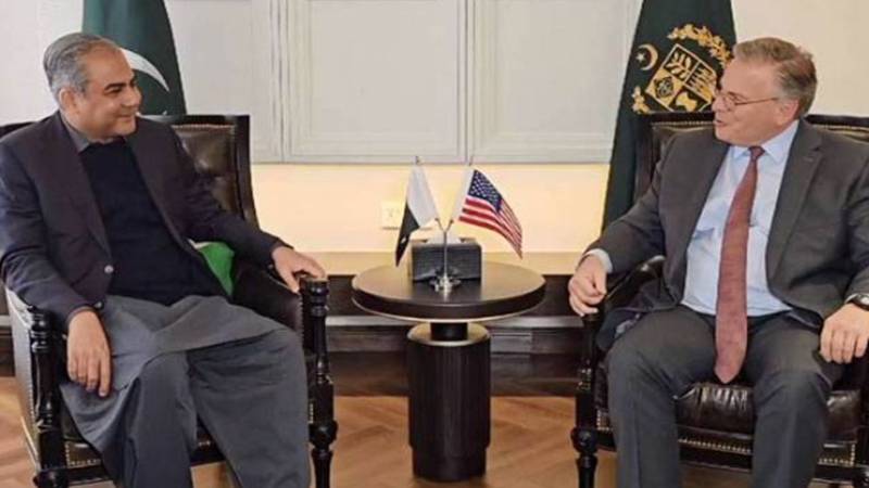 غیر قانونی رہائش کی اجازت نہیں دی جائے گی، امریکی سفیر سے ملاقات:محسن نقوی