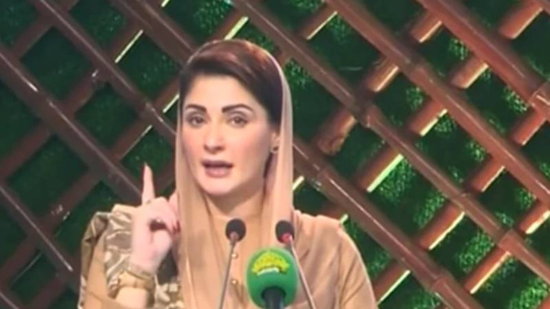 جانوروں کے ساتھ سیاسی جماعتوں کی بیماریوں کا بھی علاج کریں گے:مریم نواز