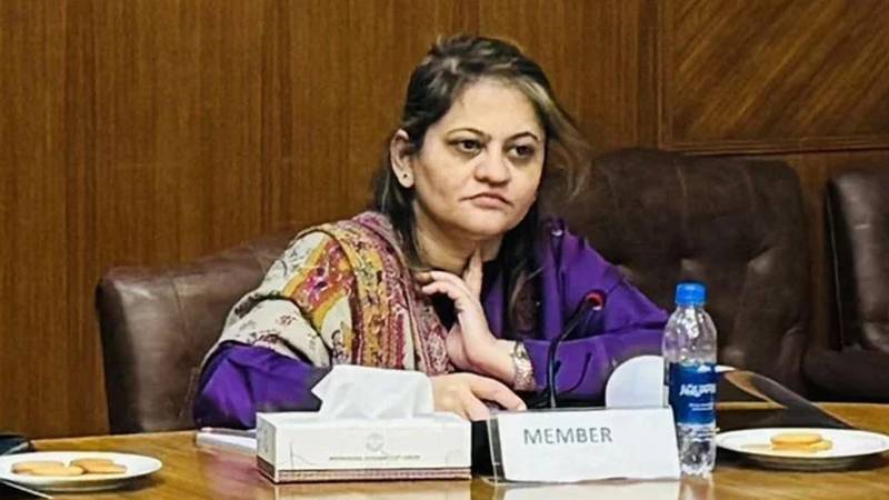 کراچی تا حیدرآباد ایم 9 موٹر وے کے معیار پر سوال اٹھاتے ہوئے سعدیہ جاوید کا بیان