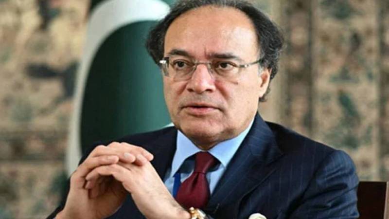 پاکستان چینی سرمایہ کاروں سے 25 کروڑ ڈالر اکٹھا کرنے کے خواہشمند ہیں:وزیر خزانہ 