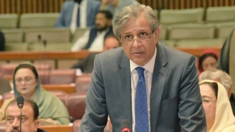 ریاستی اداروں کا خسارہ سیکڑوں ارب روپے سالانہ ہے:اعظم نذیر تارڑ