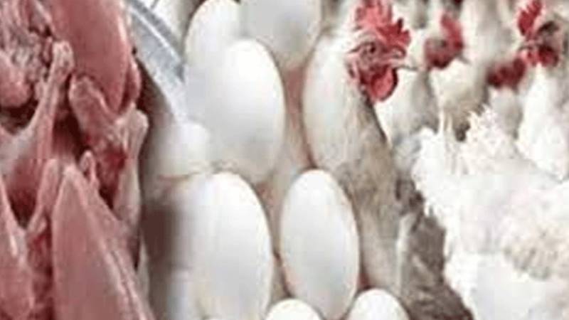 مرغی کے گوشت کی قیمت میں 11 روپے کمی