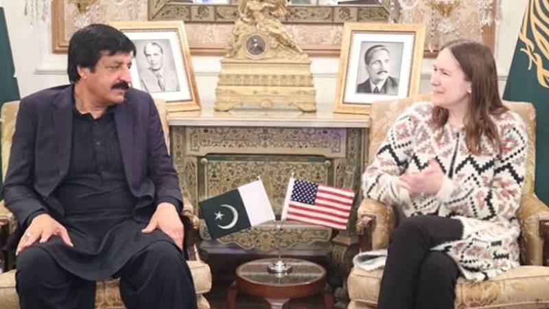 گورنر پنجاب سردار سلیم حیدر کی امریکی قونصل جنرل کرسٹین کے ہاکنز سے ملاقات