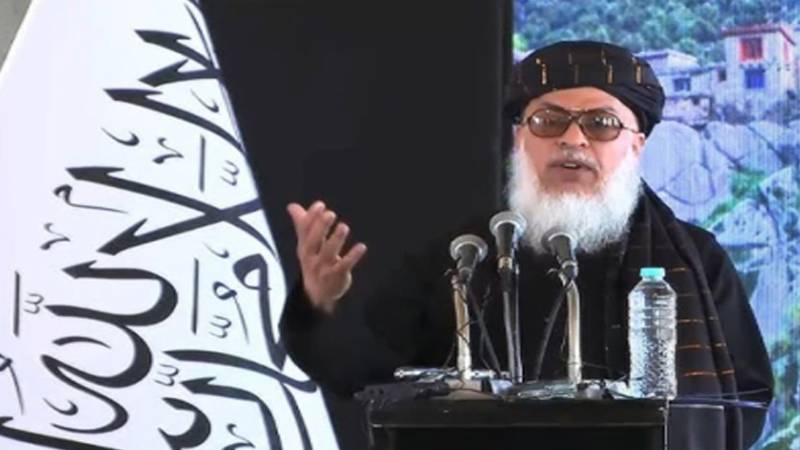 طالبان کے نائب وزیر شیر محمد عباس ستاکزئی نے لڑکیوں کی تعلیم پر پابندی ہٹانے کا مطالبہ کر دیا