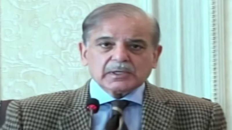 قتل و غارت کرنے والے پورے پاکستان کے دشمن ہیں، صرف بلوچستان نہیں:وزیراعظم شہباز شریف