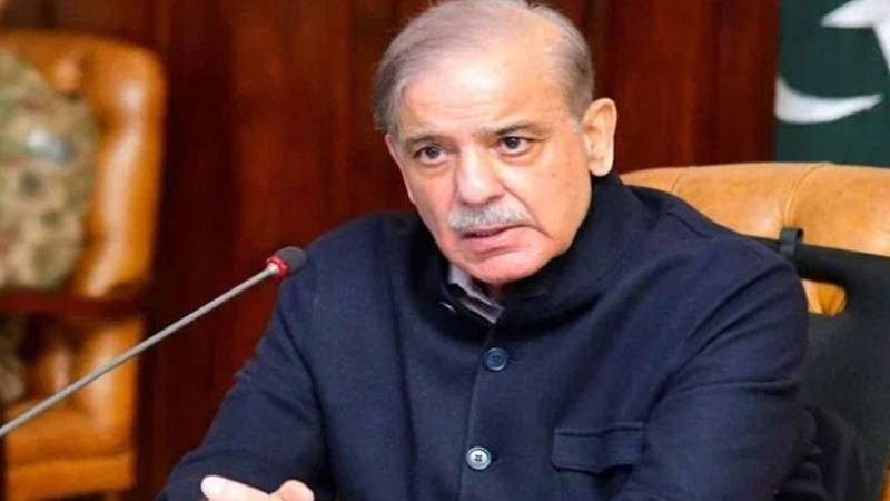 وزیراعظم شہباز شریف کا بھمبر آزاد کشمیر کا دورہ، دانش سکول کا سنگ بنیاد رکھیں گے