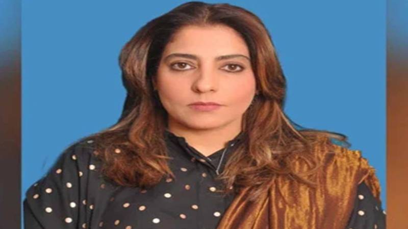 سینیٹر پلوشہ خان کا ڈیٹا چوری ہونے کا انکشاف، ایف آئی اے کو درخواست