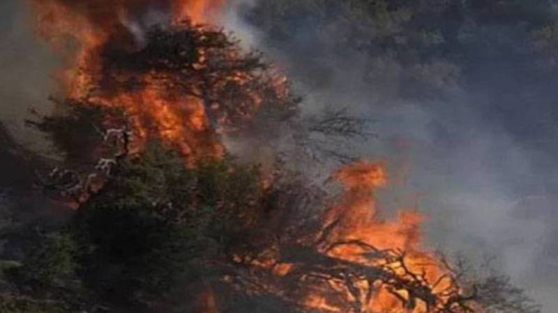 لاس اینجلس: جنگلات میں آگ بھڑک اٹھی، 25 ہزار افراد کا انخلا