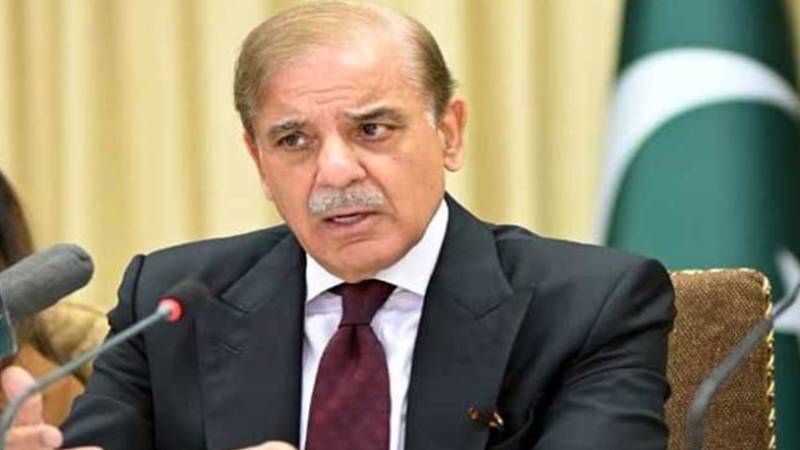 ملک دشمن عناصر کو ترقی برداشت نہیں:وزیرِاعظم