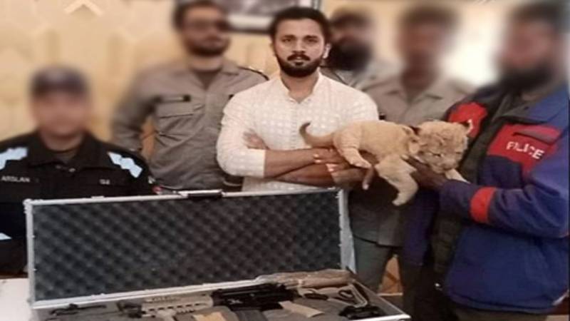 ٹک ٹاکر رجب بٹ کو شیر کا بچہ رکھنے پر کمیونٹی سروس کی سزا
